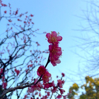 f:id:lazing-around:20150222144547j:plain f:id:lazing-around:20150222144547j:plain