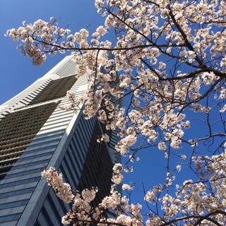 f:id:lazing-around:20150402205609j:plain f:id:lazing-around:20150402205609j:plain