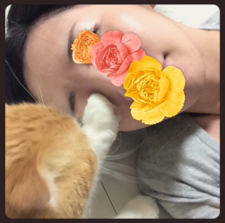 f:id:lazing-around:20150402205625j:plain f:id:lazing-around:20150402205625j:plain