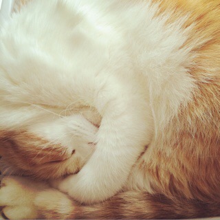 f:id:lazing-around:20150407194706j:plain f:id:lazing-around:20150407194706j:plain