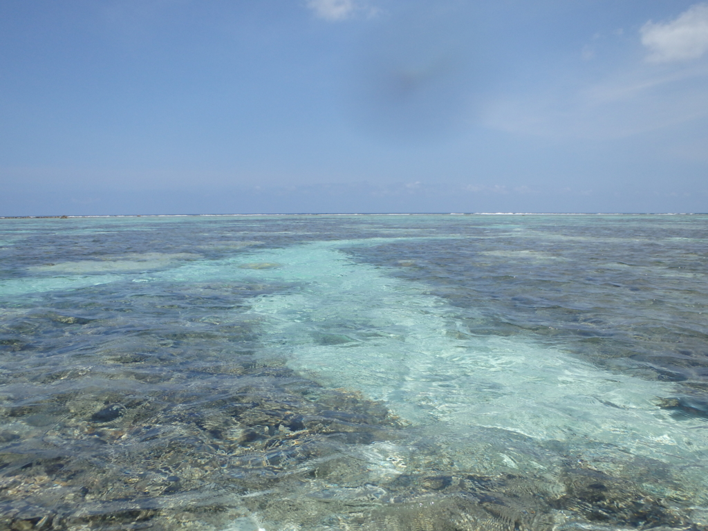 f:id:lazytraveler:20160402221907j:plain f:id:lazytraveler:20160402221907j:plain