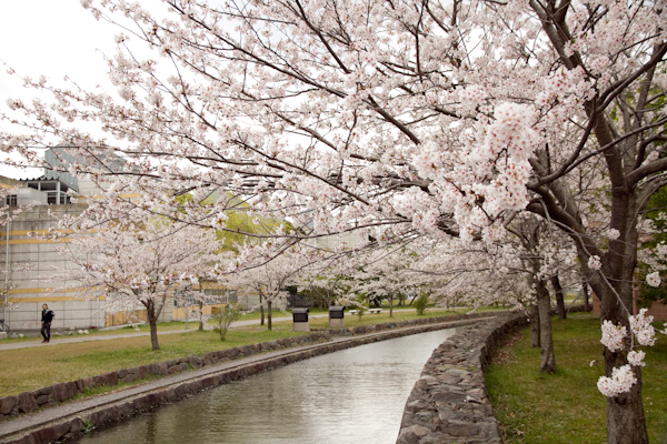 f:id:ldlife:20110418134748j:image