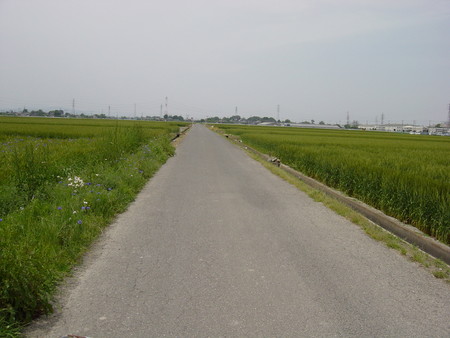 f:id:leafwood:20080509113647j:image f:id:leafwood:20080509113647j:image