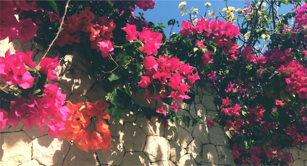 f:id:lebois_medi02:20151009182715j:image f:id:lebois_medi02:20151009182715j:image
