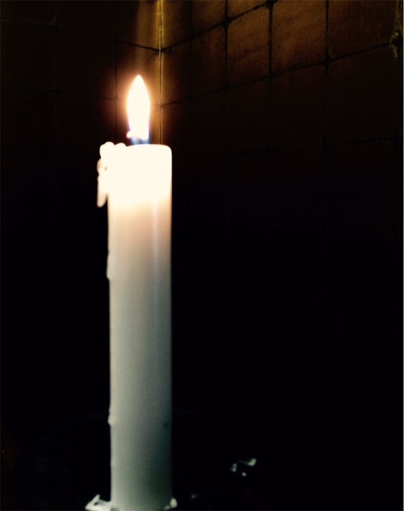 f:id:lebois_medi02:20151119104201j:image f:id:lebois_medi02:20151119104201j:image