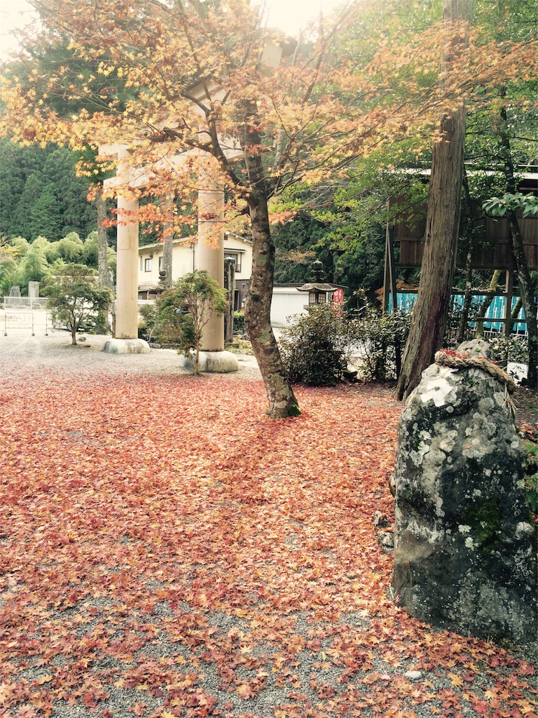 f:id:lebois_medi02:20151119115252j:image f:id:lebois_medi02:20151119115252j:image