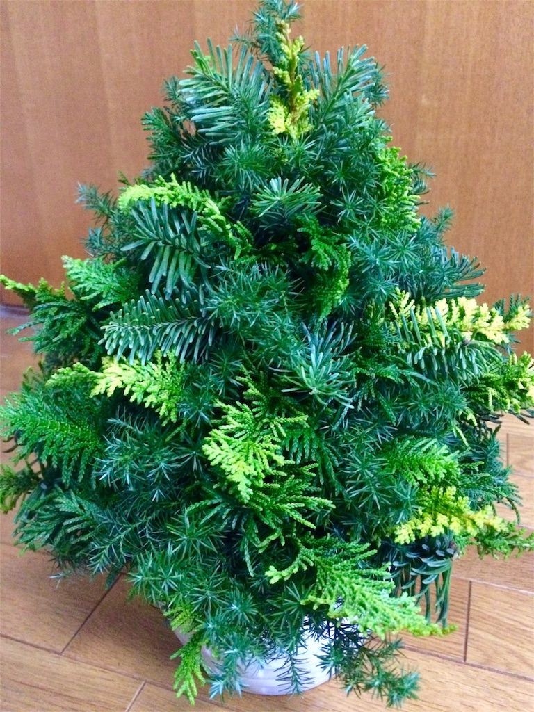 f:id:lebois_medi02:20151223163645j:image f:id:lebois_medi02:20151223163645j:image