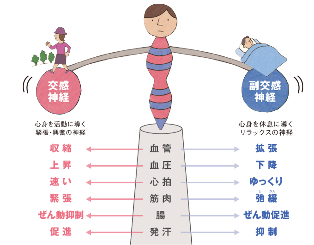 f:id:lebois_medi02:20160524211849p:image f:id:lebois_medi02:20160524211849p:image