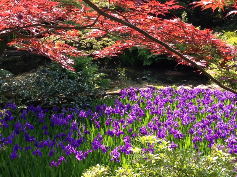 f:id:lecielrie:20130508144534j:plain