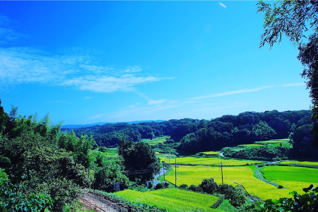 f:id:lefty14kim:20150924230811j:image f:id:lefty14kim:20150924230811j:image
