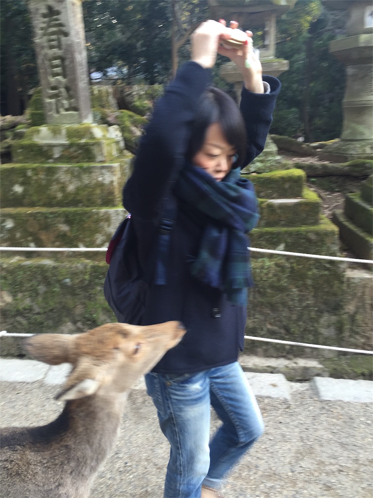f:id:legumeg:20160123110434j:image f:id:legumeg:20160123110434j:image