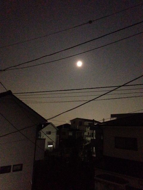 f:id:lemon99:20150731203812j:plain