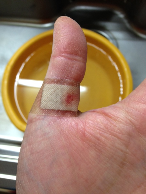 f:id:lemon99:20151229123920j:plain