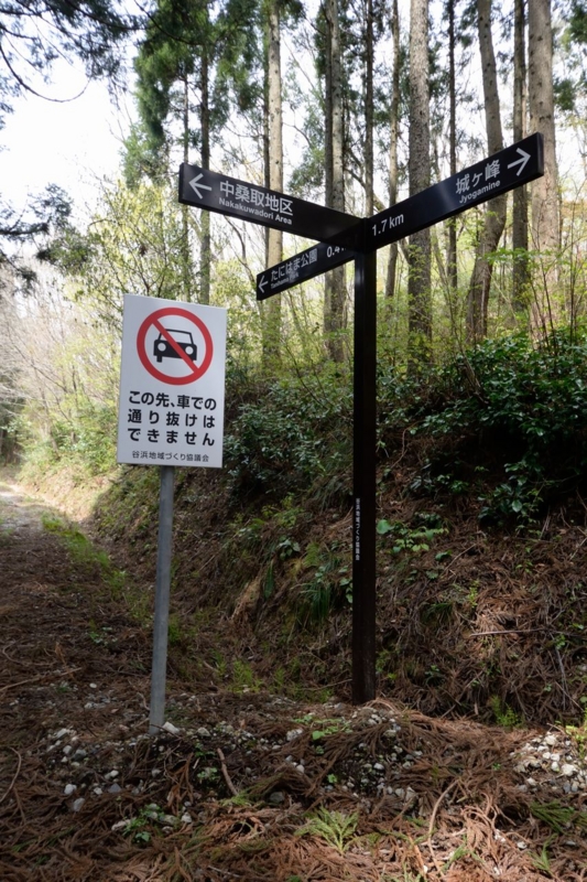 f:id:lenthionine:20140421173004j:plain 分岐路