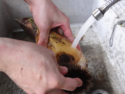 f:id:leon1248:20160206144906j:plain f:id:leon1248:20160206144906j:plain