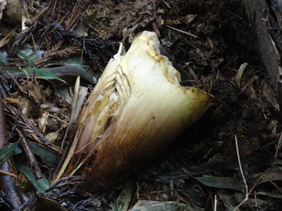 f:id:leon1248:20160206150606j:plain f:id:leon1248:20160206150606j:plain