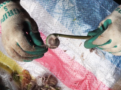 f:id:leon1248:20160206152519j:plain f:id:leon1248:20160206152519j:plain