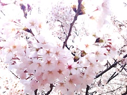 f:id:leon1248:20160207172645j:plain