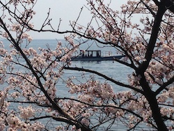 f:id:leon1248:20160207172655j:plain