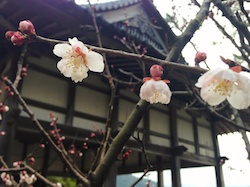 f:id:leon1248:20160207173004j:plain f:id:leon1248:20160207173004j:plain