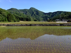 f:id:leon1248:20160207181543j:plain f:id:leon1248:20160207181543j:plain