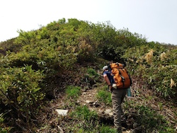 f:id:leon1248:20160207182059j:plain