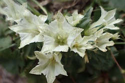 f:id:leon1248:20160208203746j:plain f:id:leon1248:20160208203746j:plain