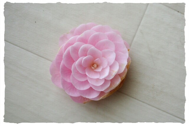 f:id:leona_moana:20150331103728j:plain f:id:leona_moana:20150331103728j:plain