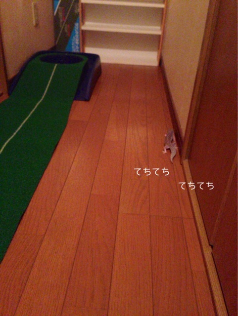 f:id:leopa0619:20140708080609j:plain f:id:leopa0619:20140708080609j:plain