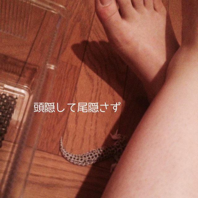 f:id:leopa0619:20140711221709j:plain f:id:leopa0619:20140711221709j:plain