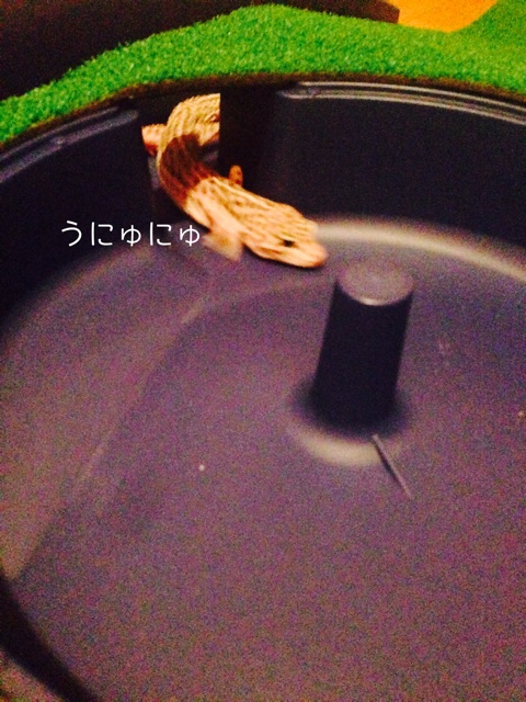 f:id:leopa0619:20140711221817j:plain f:id:leopa0619:20140711221817j:plain