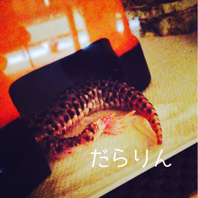 f:id:leopa0619:20140721165529j:plain f:id:leopa0619:20140721165529j:plain