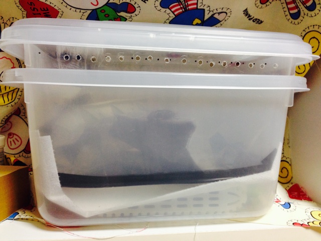 f:id:leopa0619:20140728212046j:plain f:id:leopa0619:20140728212046j:plain