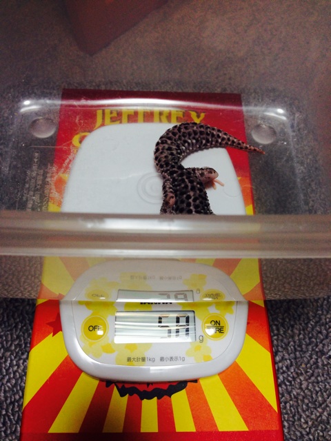 f:id:leopa0619:20140806002510j:plain f:id:leopa0619:20140806002510j:plain