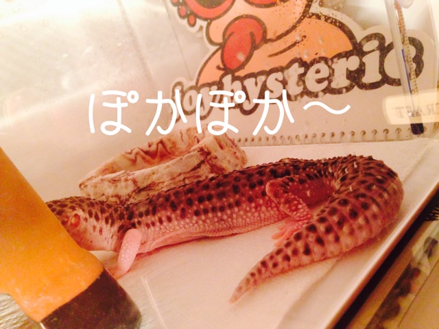 f:id:leopa0619:20140811221038j:plain f:id:leopa0619:20140811221038j:plain