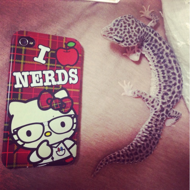 f:id:leopa0619:20140818194143j:plain f:id:leopa0619:20140818194143j:plain