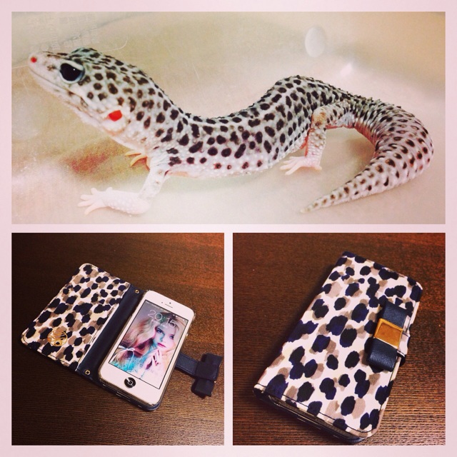 f:id:leopa0619:20140820001714j:plain f:id:leopa0619:20140820001714j:plain