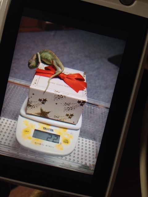 f:id:leopa0619:20141013005431j:plain f:id:leopa0619:20141013005431j:plain