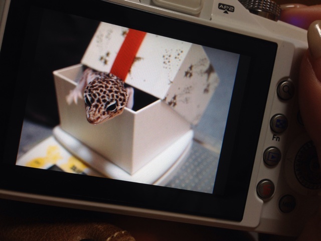 f:id:leopa0619:20141013010120j:plain f:id:leopa0619:20141013010120j:plain
