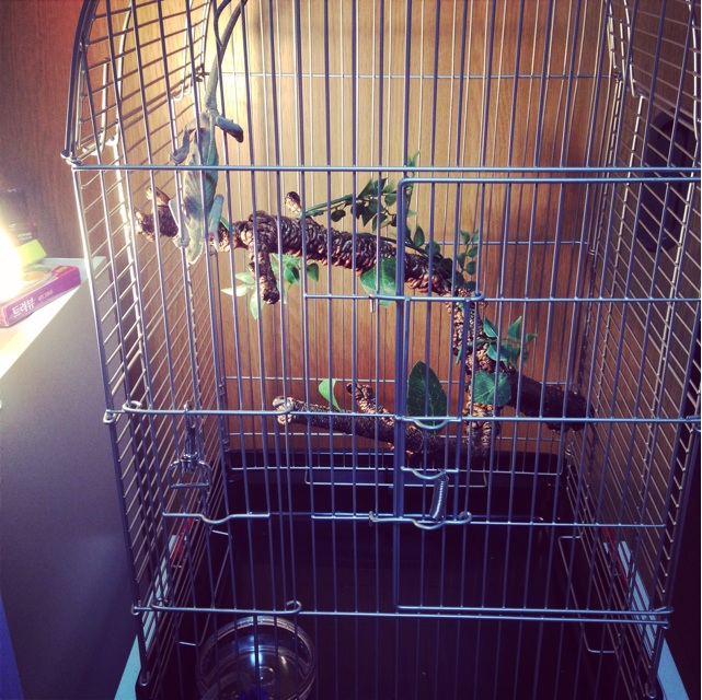 f:id:leopa0619:20141029224200j:plain f:id:leopa0619:20141029224200j:plain