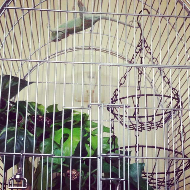 f:id:leopa0619:20141029224253j:plain f:id:leopa0619:20141029224253j:plain