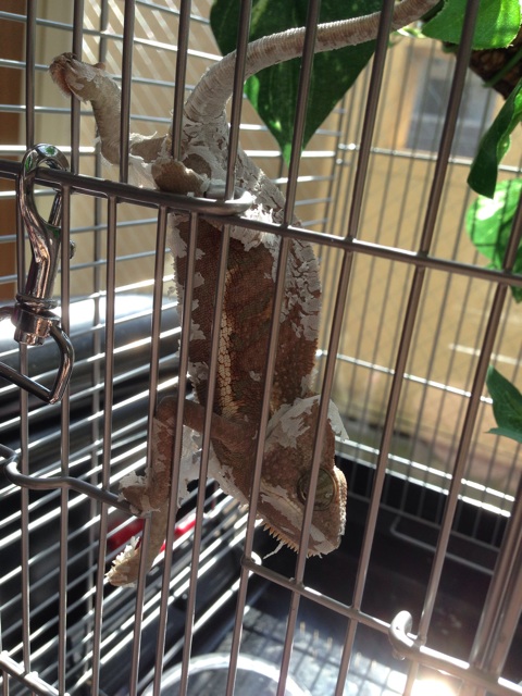 f:id:leopa0619:20141029224857j:plain f:id:leopa0619:20141029224857j:plain