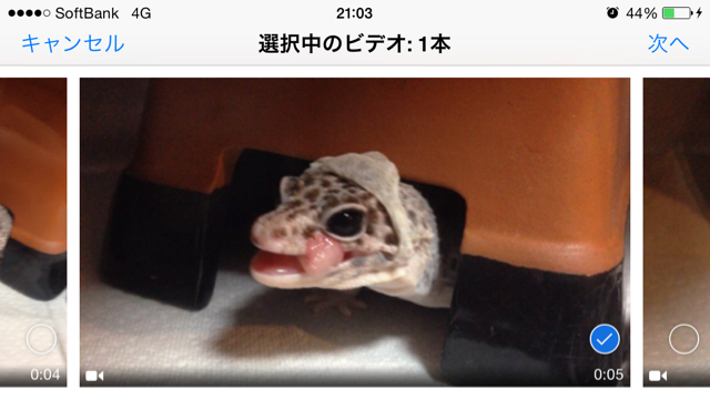 f:id:leopa0619:20141120235630j:plain f:id:leopa0619:20141120235630j:plain