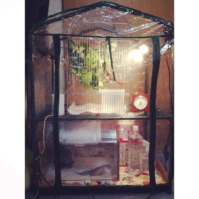 f:id:leopa0619:20141122171826j:plain f:id:leopa0619:20141122171826j:plain