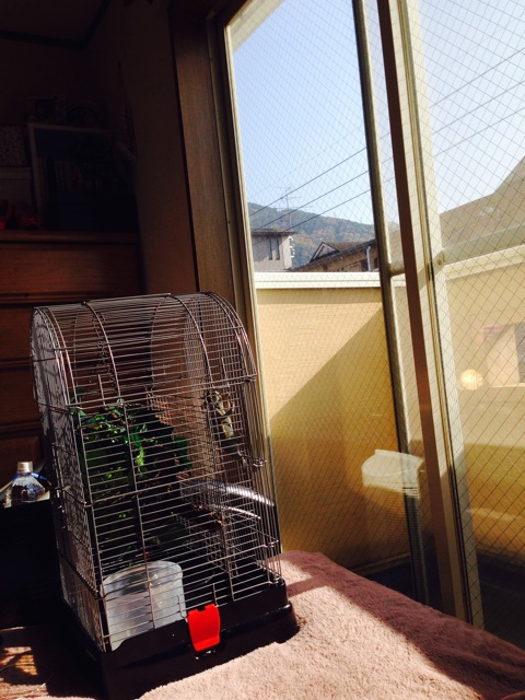 f:id:leopa0619:20141122172205j:plain f:id:leopa0619:20141122172205j:plain