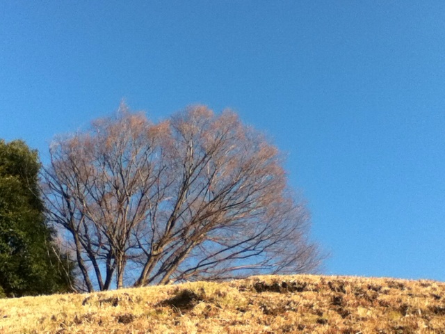 f:id:letswalk:20160301072813j:plain f:id:letswalk:20160301072813j:plain