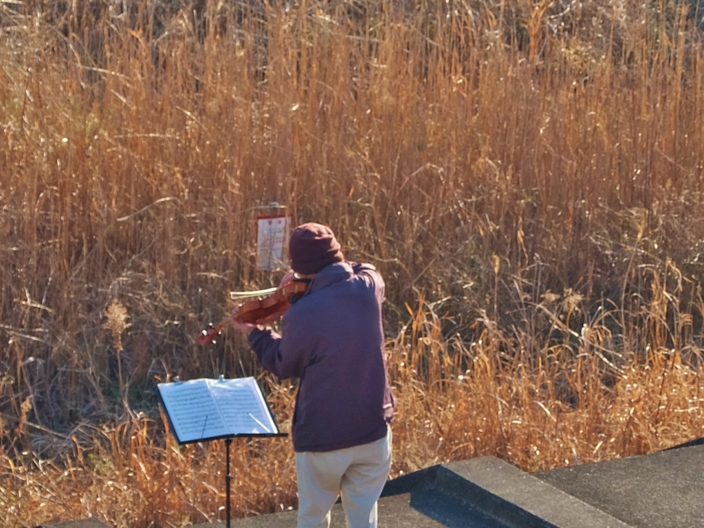 f:id:ley-line:20160211173405j:plain