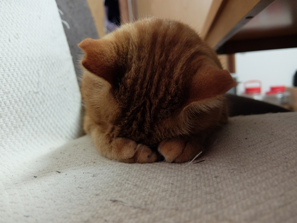 f:id:ley-line:20160214190518j:plain