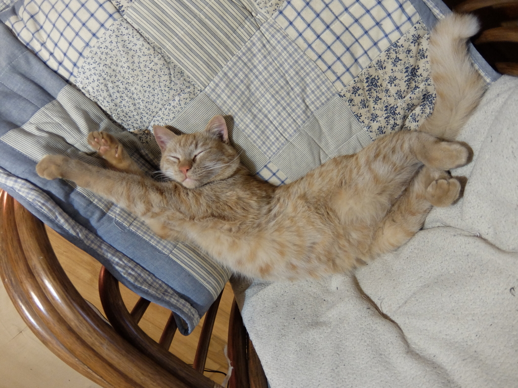 f:id:ley-line:20160214190848j:plain