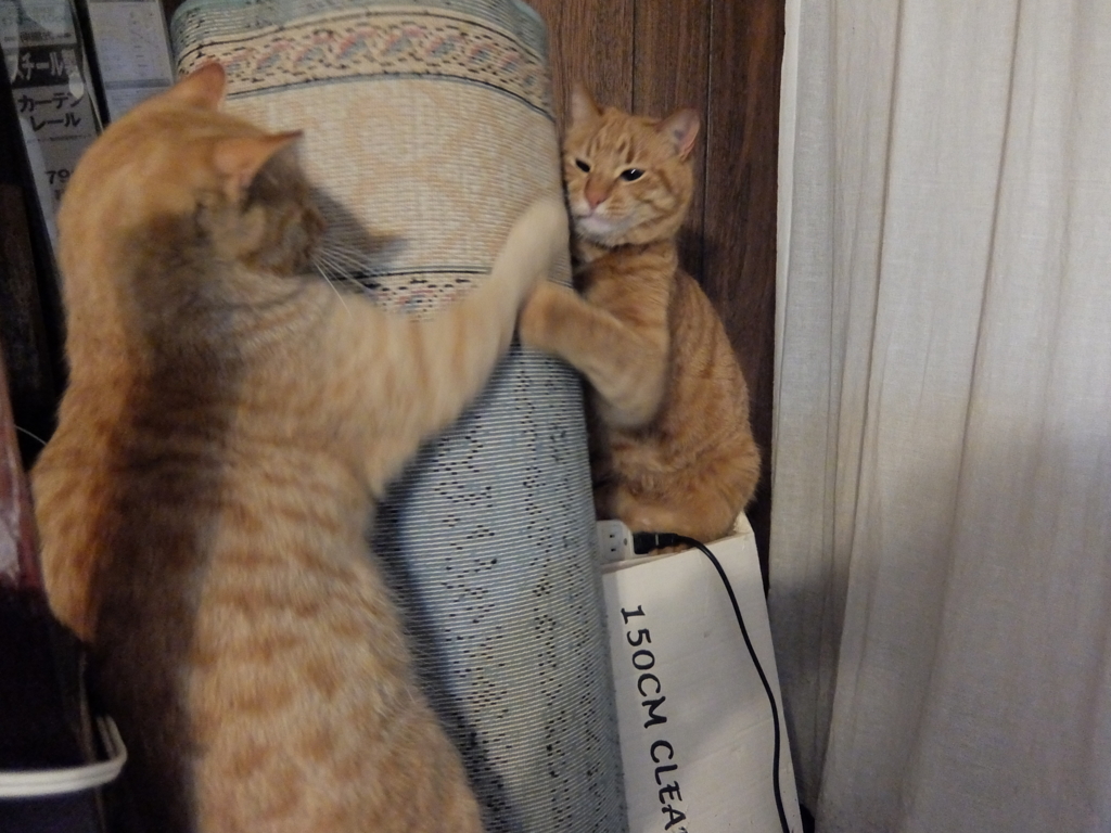 f:id:ley-line:20160214190935j:plain